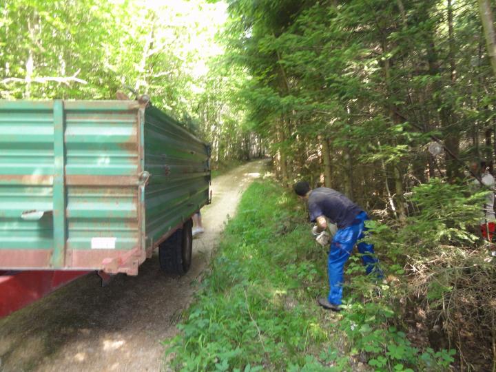 Jugendnaturschutzlager 2010 Sempach 097