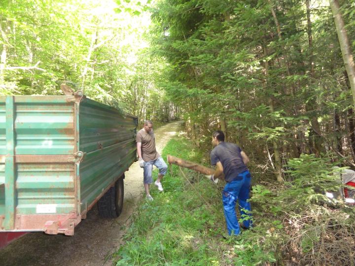 Jugendnaturschutzlager 2010 Sempach 098