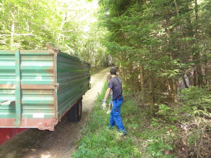 Jugendnaturschutzlager 2010 Sempach 099