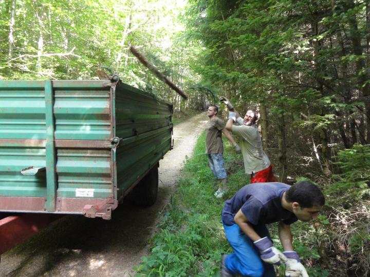 Jugendnaturschutzlager 2010 Sempach 100