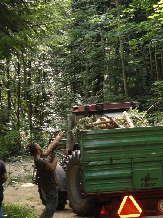 Jugendnaturschutzlager 2010 Sempach 102