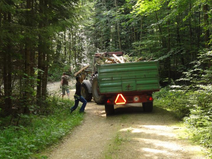 Jugendnaturschutzlager 2010 Sempach 103