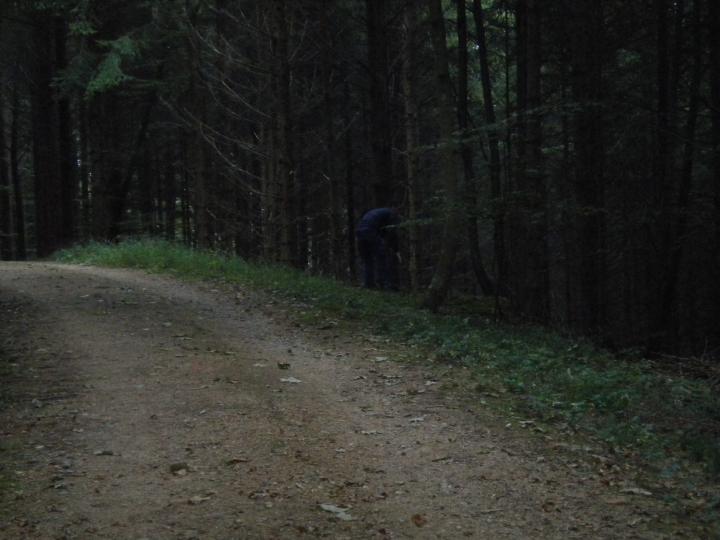 DSCN0939
